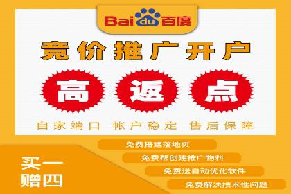 SEM公司案例分享：优化效果与转化率提升策略